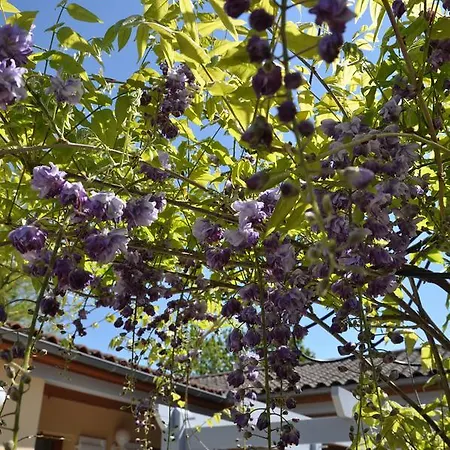 Bed & Breakfast Les Pigeonnes