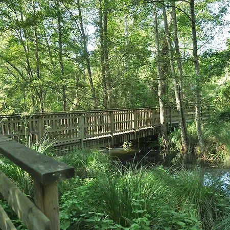 Bed & Breakfast Les Pigeonnes Groléjac