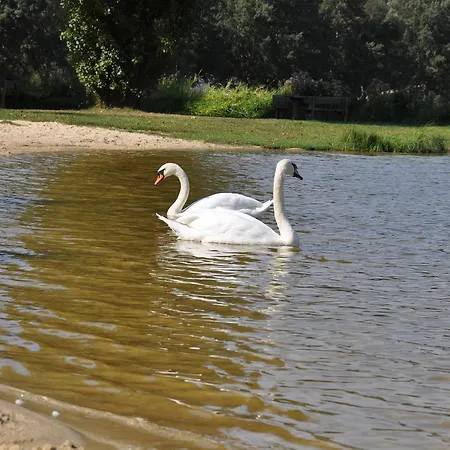Bed & Breakfast Les Pigeonnes Groléjac