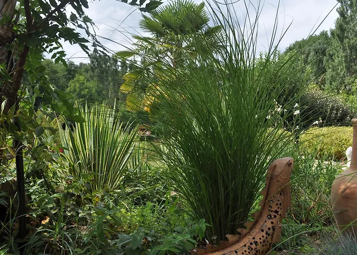 Les Pigeonnes Oda ve Kahvaltı Groléjac