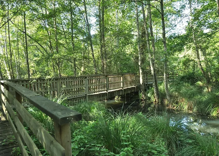 Oda ve Kahvaltı Les Pigeonnes Groléjac